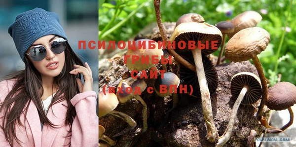 ГАЛЛЮЦИНОГЕННЫЕ ГРИБЫ Баксан