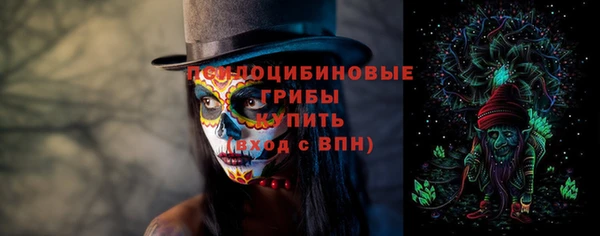 ГАЛЛЮЦИНОГЕННЫЕ ГРИБЫ Баксан