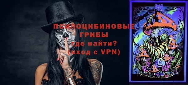 ГАЛЛЮЦИНОГЕННЫЕ ГРИБЫ Баксан
