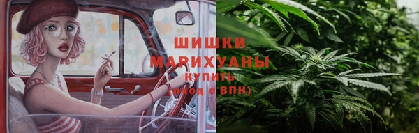 ГАЛЛЮЦИНОГЕННЫЕ ГРИБЫ Баксан